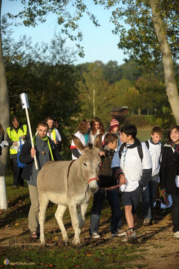 Nom de l'image : D30082852_1_(c)Norbert-JUNG — Description :